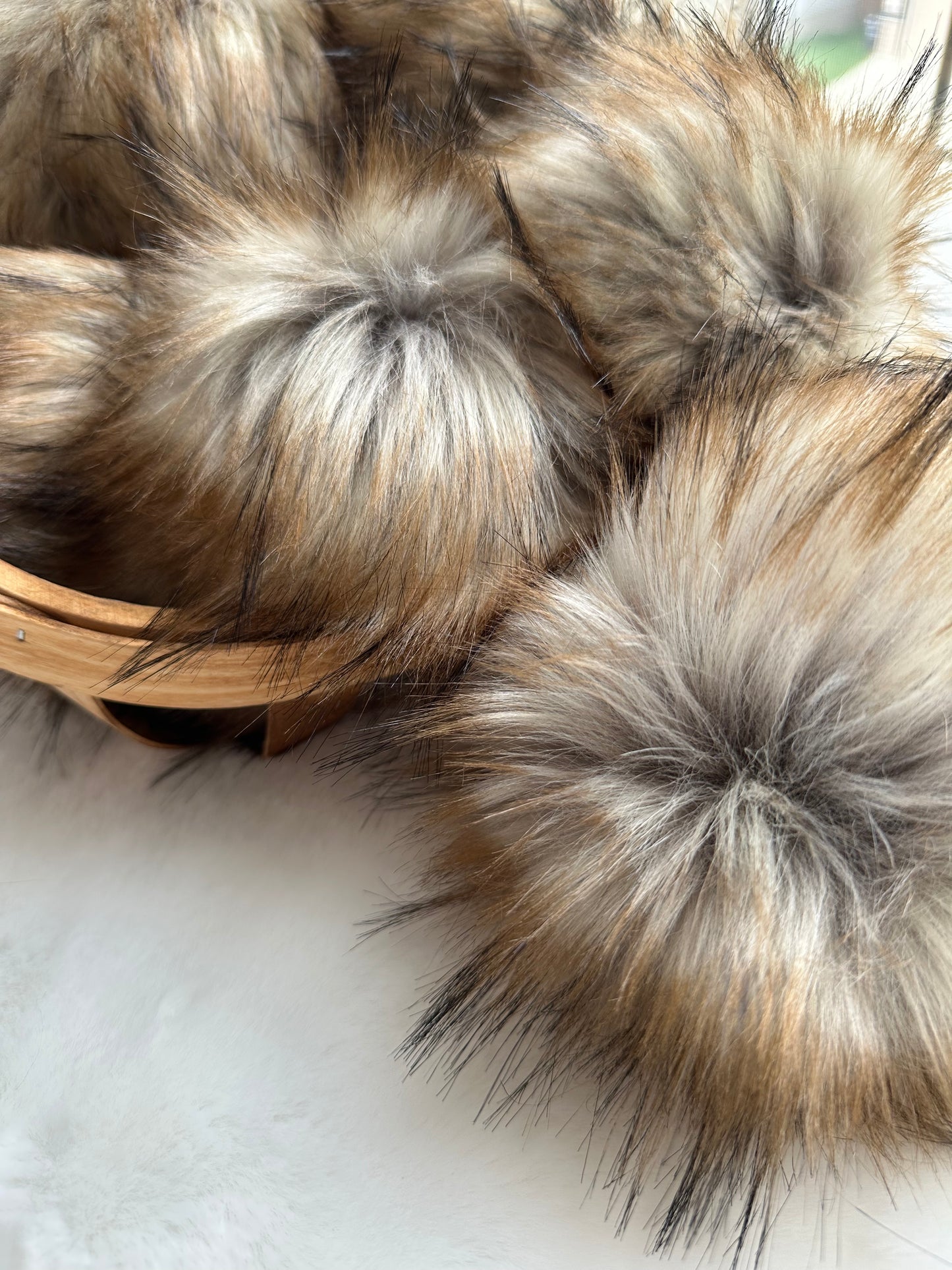 Golden Oak Pom