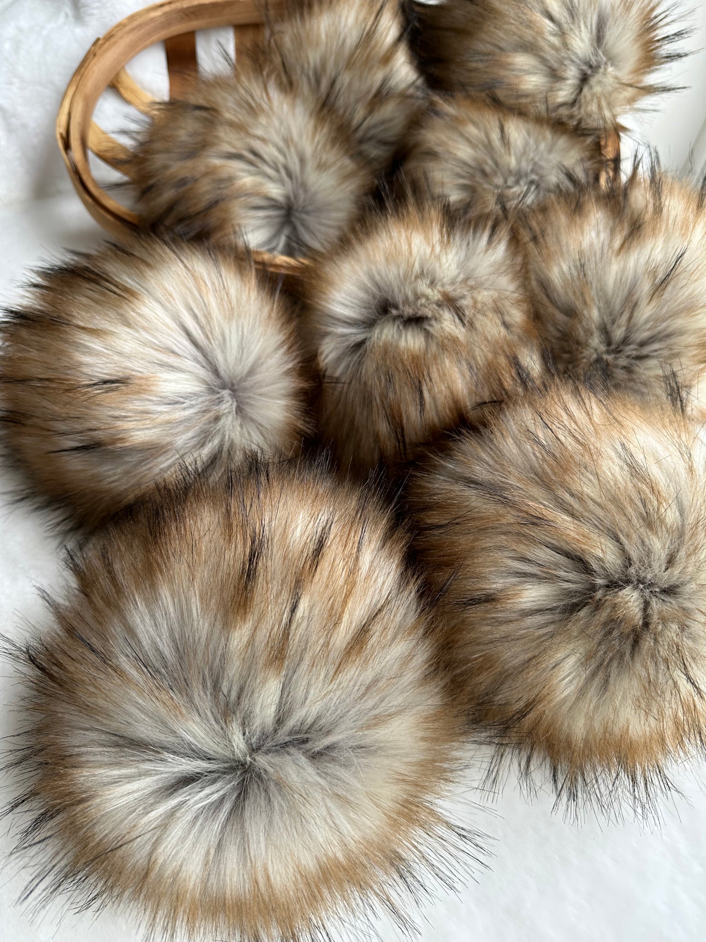 Golden Oak Pom