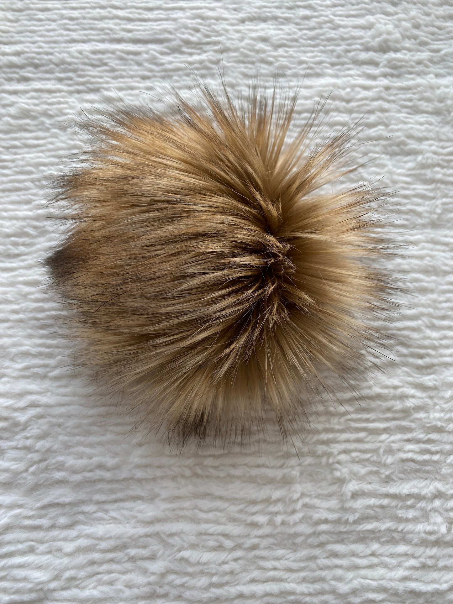BRANDY POM