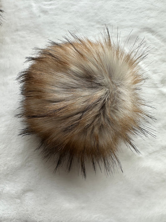 Golden Oak Pom